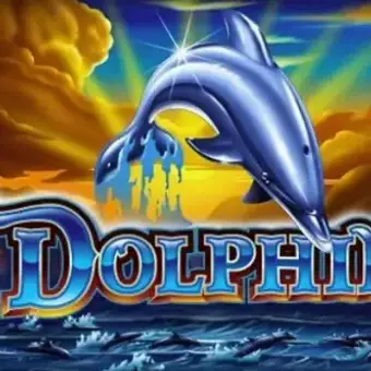 Dolphins by Ainsworth